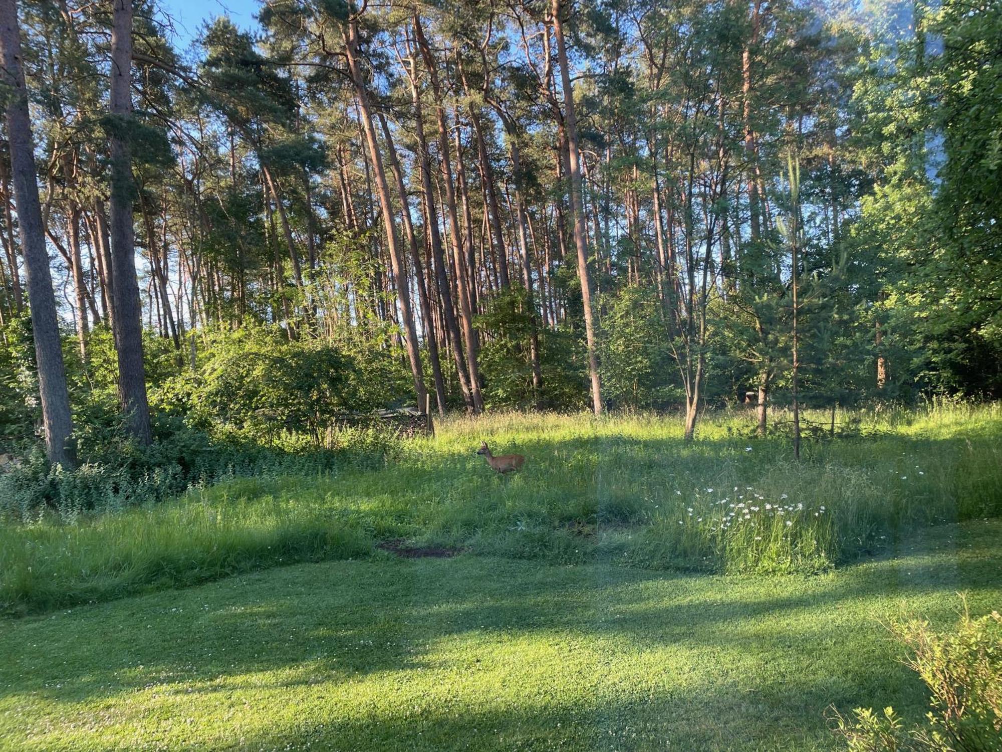 Little Paradise Stelle Экстерьер фото