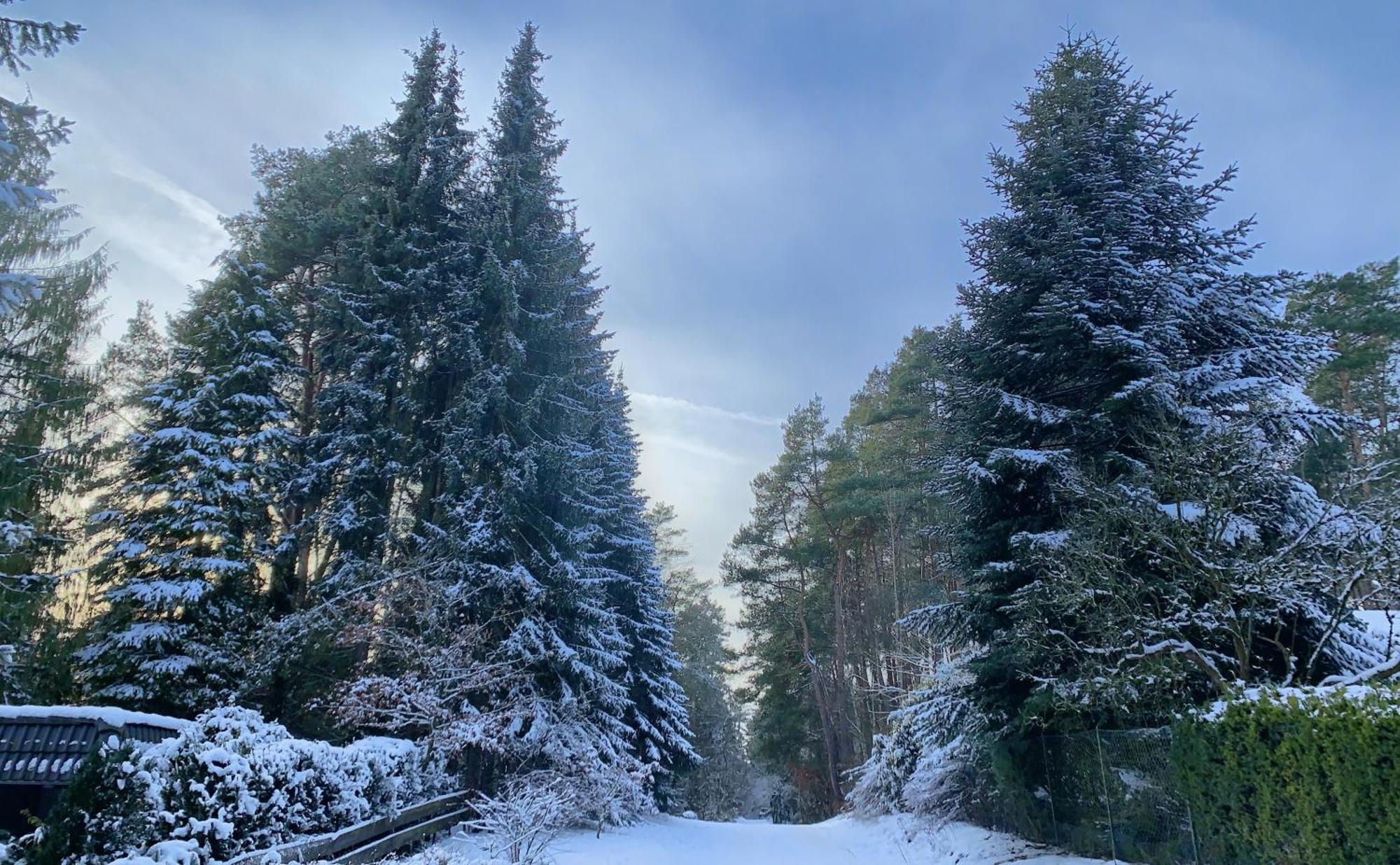 Little Paradise Stelle Экстерьер фото